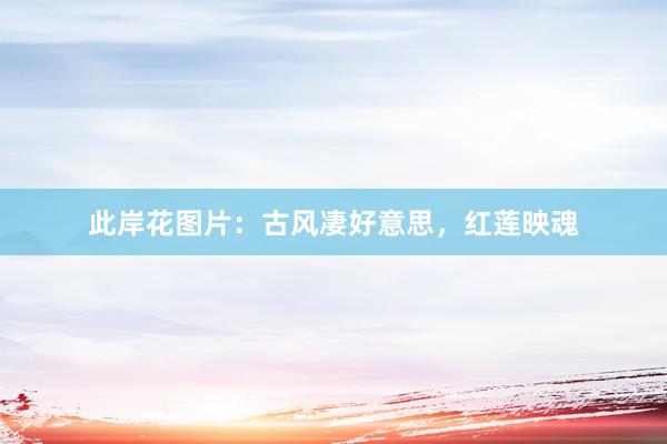 此岸花图片：古风凄好意思，红莲映魂