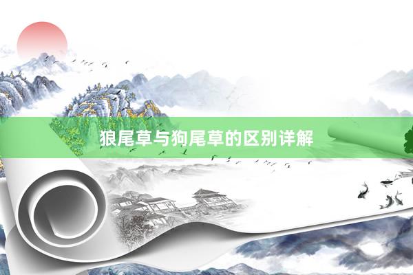 狼尾草与狗尾草的区别详解