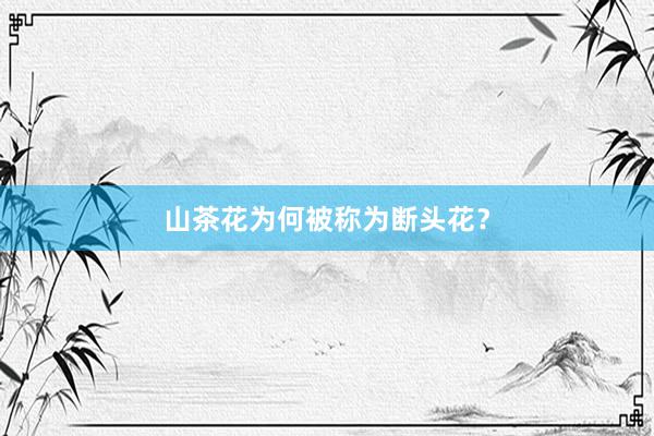 山茶花为何被称为断头花？