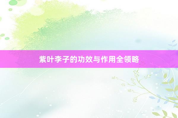 紫叶李子的功效与作用全领略